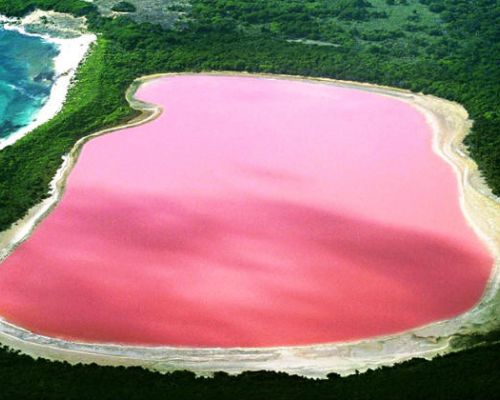 Lago rosado Hillier, Australia