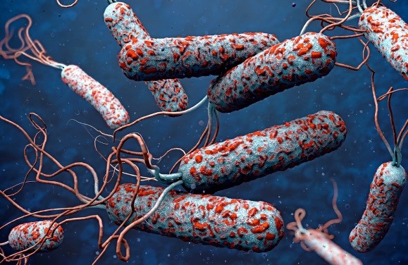 La Pandemia del Tercer Cólera (1852-1860)